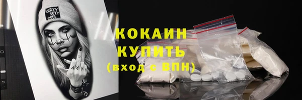 ECSTASY Богданович